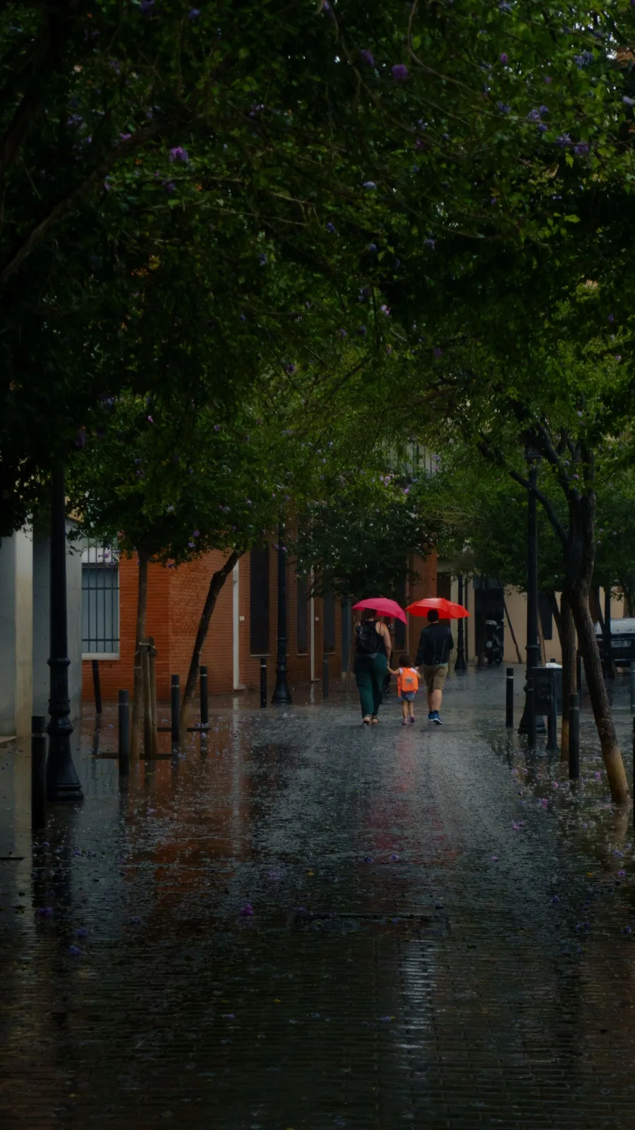 A family walks under umbrellas through a rain-soaked city path, surrounded by lush trees.